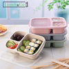 Bento Box Verte 3 Compartiments | Lunch&Co