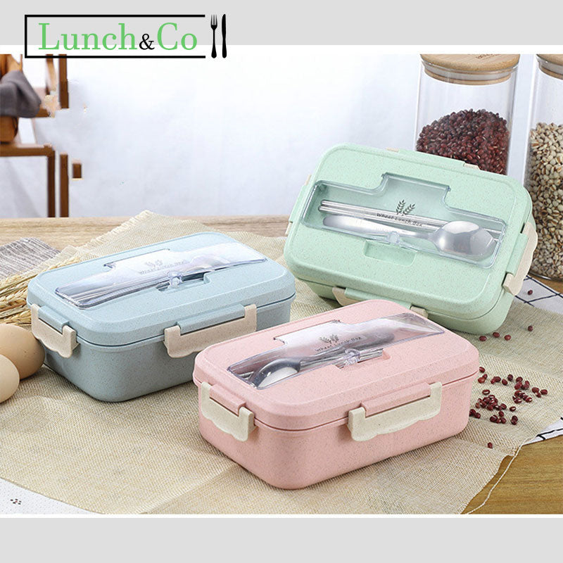 Lunch Box Bleue | Lunch&Co