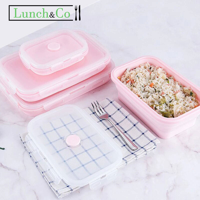 Lunch Box Rose 350ml | Lunch&Co