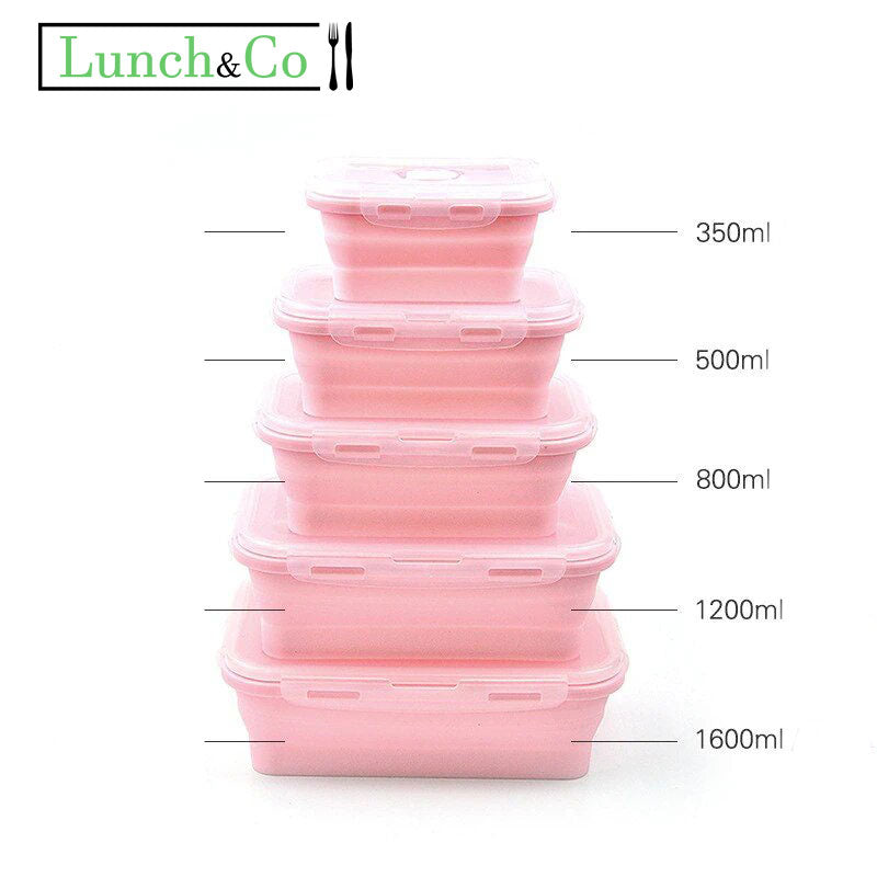 Lunch Box Rose 4 Pièces | Lunch&Co