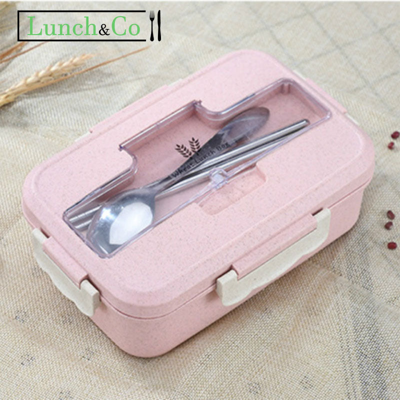 Lunch Box Rose | Lunch&Co