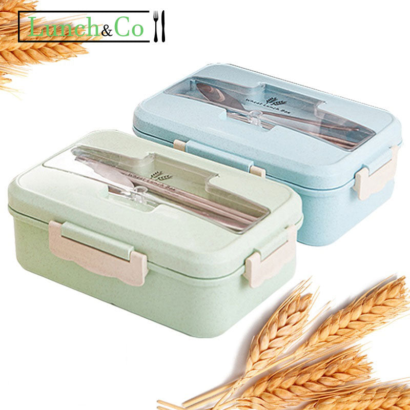 Lunch Box Verte | Lunch&Co